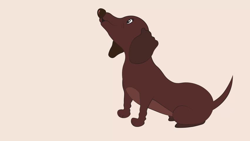 Looping animation of a cute cartoon dachshund puppy playing with a tennis ball on a light pink background. Playful and charming, ideal for pet content.