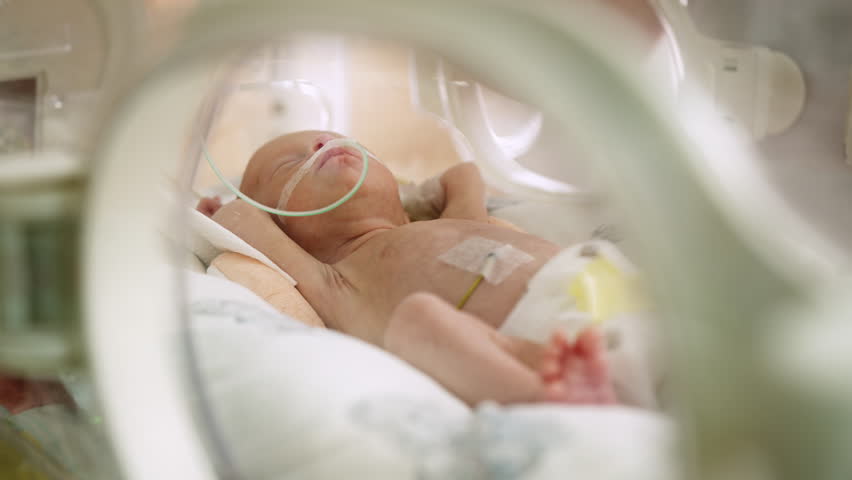 A premature baby is fed milk in an incubator, receiving care in a neonatal intensive care unit (NICU). A nurse carefully administers nourishment using a syringe, ensuring the infant's well-being.