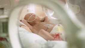 A premature baby is fed milk in an incubator, receiving care in a neonatal intensive care unit (NICU). A nurse carefully administers nourishment using a syringe, ensuring the infant's well-being. - Powered by Shutterstock - Get 15% off with code: PIKWIZARD15