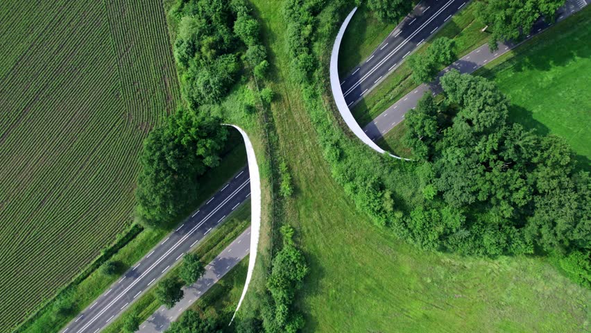 Dutch landscape with road traversed by wildlife crossing Grimberg ecoduct forming a safe natural corridor bridge for animals to migrate between conservancy areas.
