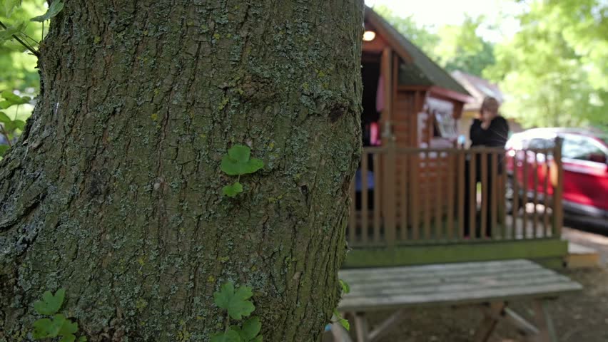 Reveal shot of woman talking on phone while standing on porch of cozy wooden cabin in forest setting.