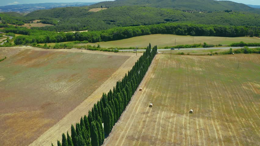 Typical tuscan landscape with hay bales and rows of cypress trees near san gimignano