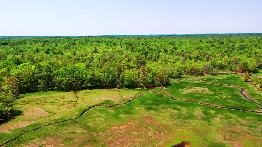 Drone clip flying above Maine’s natural swamp wilderness. Dense green trees, creeks, wild marsh grass, ponds, and rivers create a lush jungle vibe. Outdoor wetland flora and foliage in summer daylight