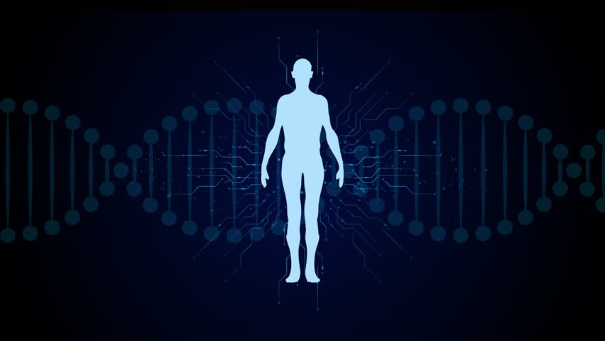 Futuristic digital human body silhouette with glowing DNA strands in background, concept of biotechnology, genetic engineering, DNA research, human genome, medical innovation, and scientific analysis. - Powered by Shutterstock - Get 15% off with code: PIKWIZARD15