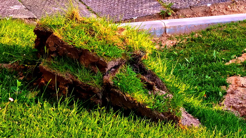 Uneven patches of uprooted turf stacked on grass next to a construction site curb