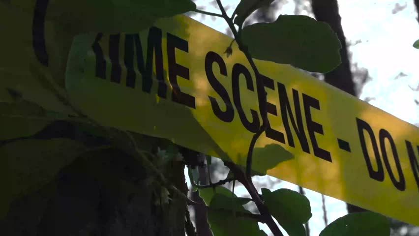 Close up or closeup footage of a yellow colored crime scene Do Not Enter tape wrapped around a tree viewed from a low angle or bottom up during a sunny day in a forest. Green leaves and tree bark seen