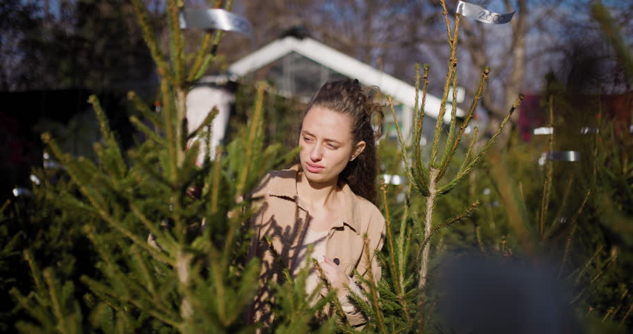 A woman selecting a pine Christmas tree in a garden center surrounded by lush greenery and bright sunlight.