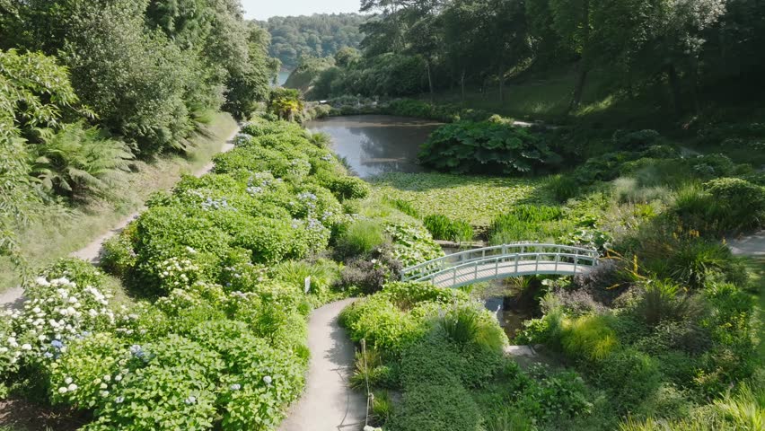 Bridge over small stream to lily pad pond in tropical garden in tree-lined valley with pathways on summer day. Slow camera flight past bridge.