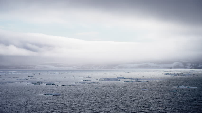 Vast expanse of icy ocean waters under a dramatic overcast sky, with scattered floating ice fragments, capturing the serene yet harsh beauty of a polar seascape.