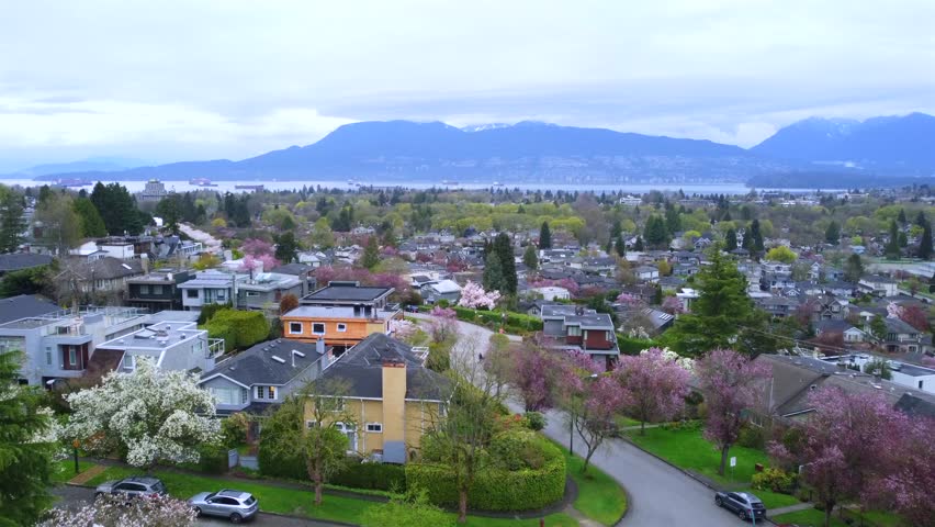 Spring blossoms in Vancouver, Canada neighborhood with ocean and mountains, aerial view