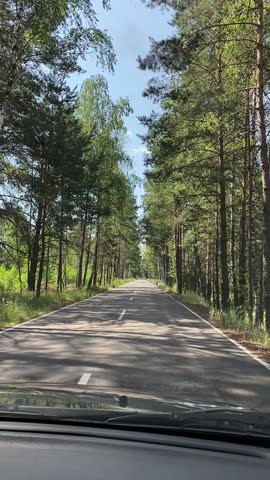 Road through green forest on sunny morning. Diminishing perspective drivers point of view: straight long stretch of road surrounded with pine trees.