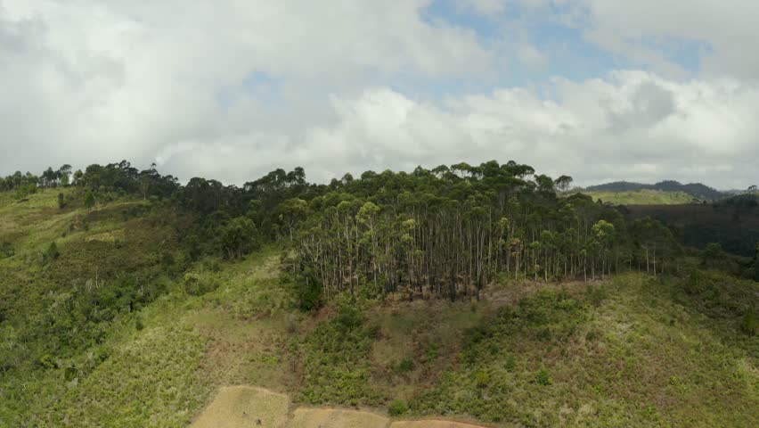 Aerial view of dense green forest covering rolling hills under a cloudy sky, creating a vibrant landscape of nature, Ambodilendemy, Amoron