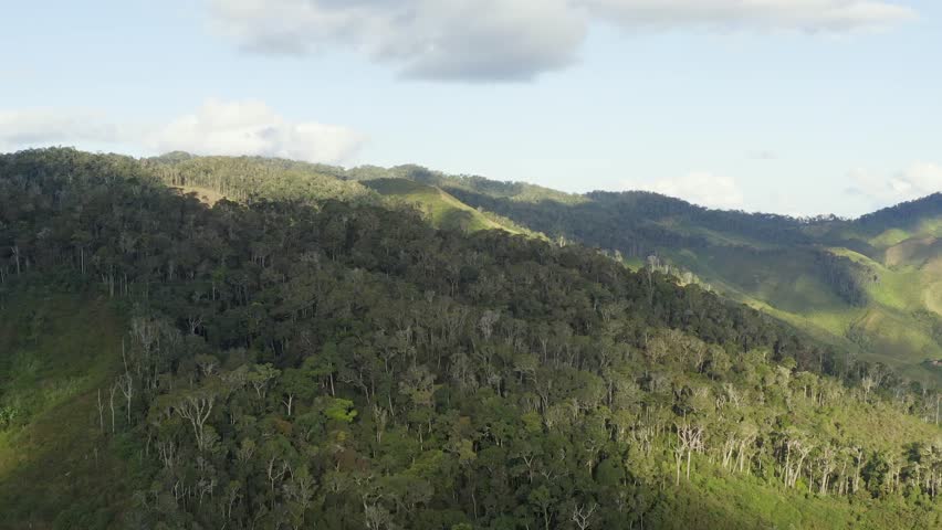 Aerial view of a dense forest blanketing rolling hills, displaying a rich tapestry of greens under a partly cloudy sky, Ambodilendemy, Amoron'i Mania, Madagascar.