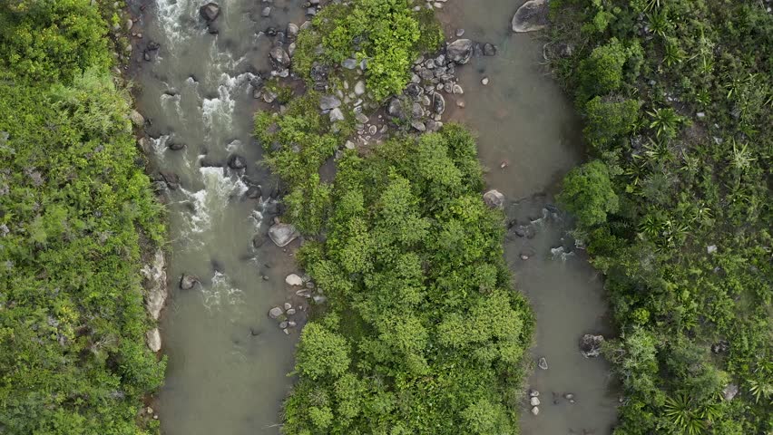 Aerial view of a vibrant green river meandering through dense trees, showcasing nature's untouched beauty, Ambodilendemy, Amoron'i Mania, Madagascar.