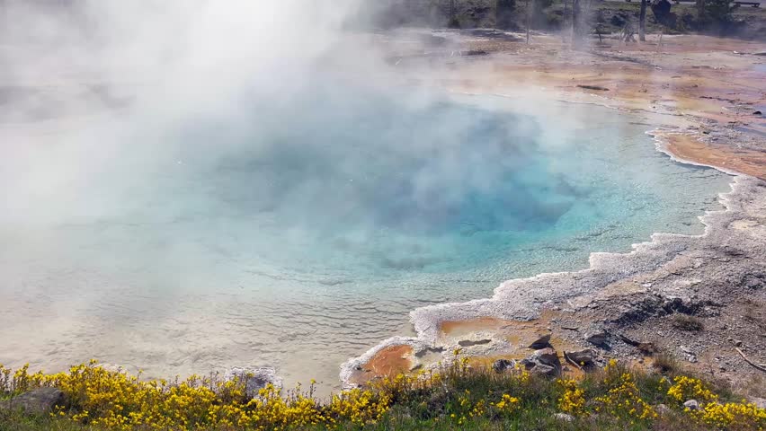 Steam rising from boiling hot water in the colourful Celestine Pool on the Fountain Paint Pot Trail in the Lower Geyser Basin in Yellowstone National Park. 