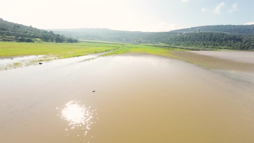 Aerial view of a water birds in flooded field, where water meets lush green land under a blue sky, creating a serene yet striking contrast, Biq`at Bet Netofa, Israel.