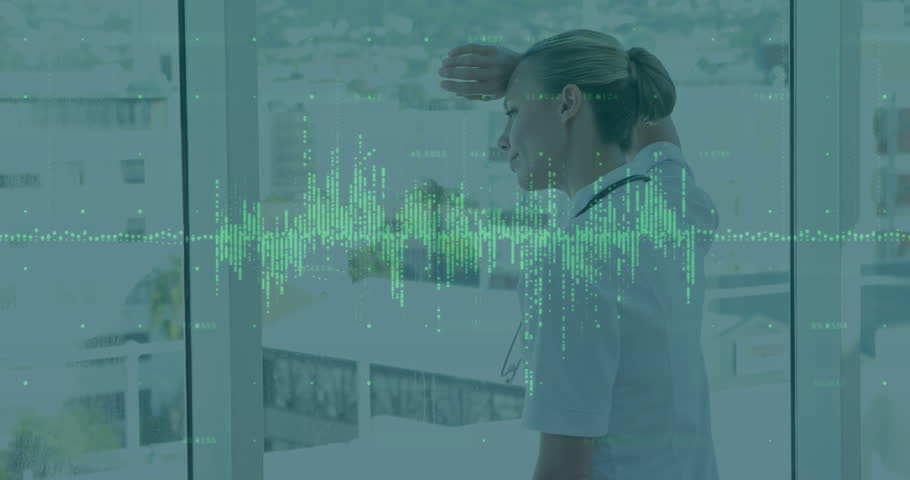 Shutterstock Video