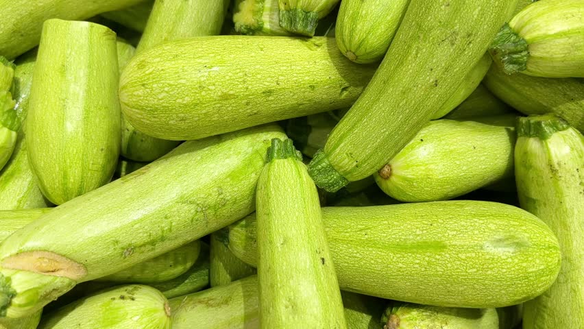 buying vegetables(eggplant, zucchini,) at the market
