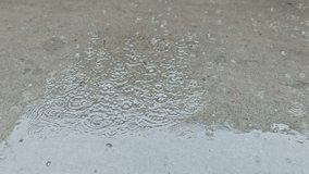 Floods are the rainy season and heavy rains. Close-up drops of rain fall. Drops of summer or autumn rain of water fall on asphalt in the city turning into a large puddle, flooding the street. - Powered by Shutterstock - Get 15% off with code: PIKWIZARD15