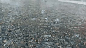 Floods are the rainy season and heavy rains. Close-up drops of rain fall. Drops of summer or autumn rain of water fall on asphalt in the city turning into a large puddle, flooding the street. - Powered by Shutterstock - Get 15% off with code: PIKWIZARD15