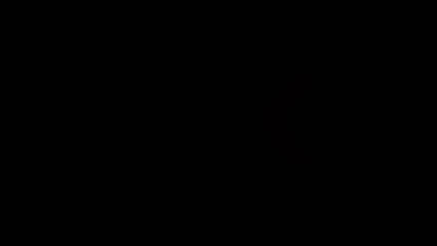 Red Right to Left Arrows Blinking in a Loop animation. Animation Arrows Sign