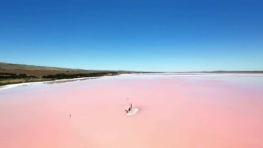 Abstract Patterns: Drone Tilt. Pink Lake. Aerial drone flight over Lake Bumbunga, famous pink salt lake in South Australia, featuring unique surreal landscape and iconic Lochiel Monster sculpture. Stunning natural phenomenon ideal for travel, tourism, drone footage, and environmental concepts.