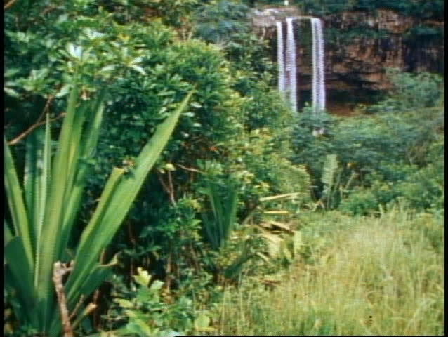 Mauritius, twin waterfall, tilt up, medium wide, very tropical scene