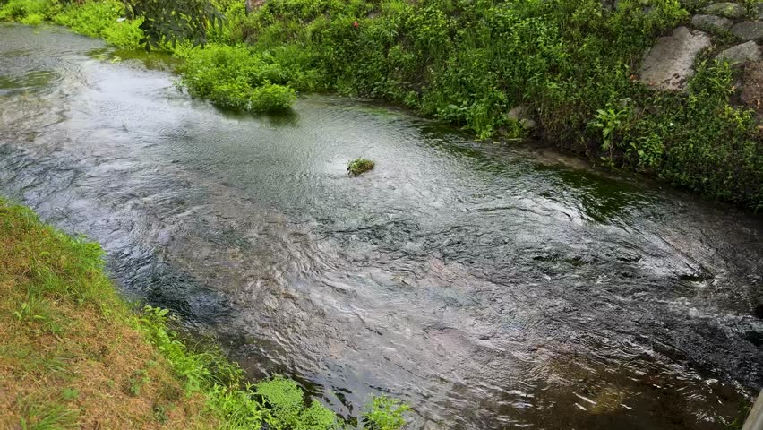 The Vade River, a tributary of the Lima, they converge at Ponte da Barca.
