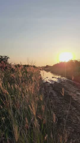Mud dirt road with sunlight