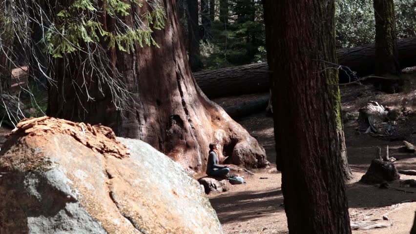 SEQUOIA NATIONAL PARK CALIFORNIA APR 2013: Young woman peaceful yoga in beautiful nature. Sierra Nevada mountains.  It was established on September 25, 1890. Park spans 404,063 acres. Major tourism.