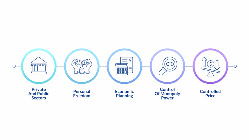 Mixed economy benefits linear timeline infographics animation. Government control, entrepreneurship. Economics planning, finance. Outline icons diagram animated 5 steps circles. HD video