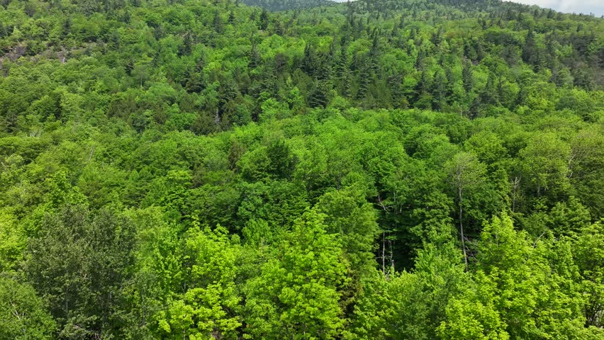 Drone view of Mountain side near the High Falls Gorge in Wilmington New York