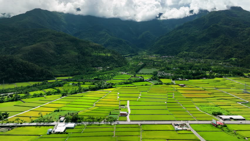Aerial view of Beautiful rice fields, Guanshan  Township, Taiwan