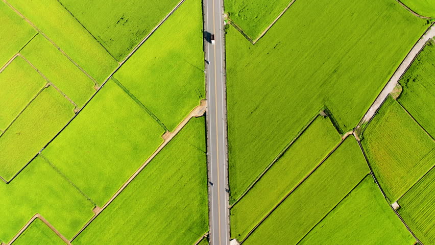 Aerial view of Beautiful rice fields and road, Taiwan
