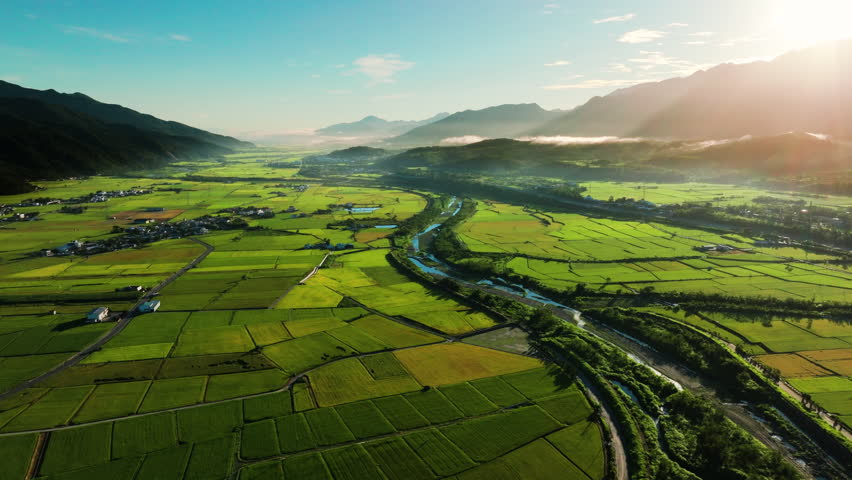 Aerial view of Beautiful rice fields at sunrise, Chihshang Township, Taiwan
