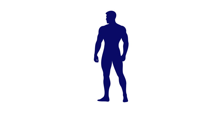 Animated illustration of a male silhouette gradually filling with red to represent testosterone effects, highlighting hormonal influence on strength, vitality, and masculinity. 4K, alpha channel.
