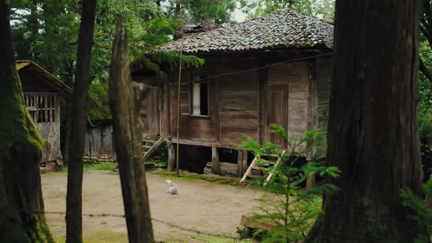 Old wooden house in the mountains deep in the forest. neglected cabin in a farmer field


