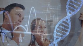 Senior medical doctor raising gene chart studying peaks colleague leaning DNA helix showing result. Genetics, collaboration, research, innovation, science, diagnostics, molecular - Powered by Shutterstock - Get 15% off with code: PIKWIZARD15