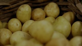 Basket holding potatoes receiving grid lines, animating bars, red line chart showing market stats. Agriculture, produce, data visualization, analytics, market trend, freshness, organic - Powered by Shutterstock - Get 15% off with code: PIKWIZARD15