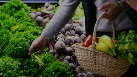 Man and woman reaching toward produce selecting curly parsley into wicker basket at food retailer. Fresh produce, healthy lifestyle, organic groceries, couple shopping, farm-fresh, eco-friendly, - Powered by Shutterstock - Get 15% off with code: PIKWIZARD15