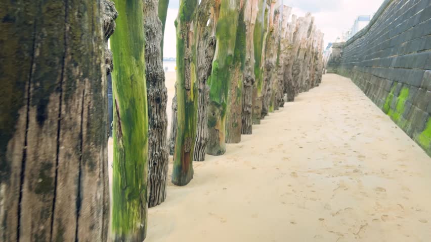 A walk along the Plage de l’Eventail sandy beach past the stone city wall and wooden pilings of the breakwaters overlooking the English Channel in Saint Malo, Brittany, France.