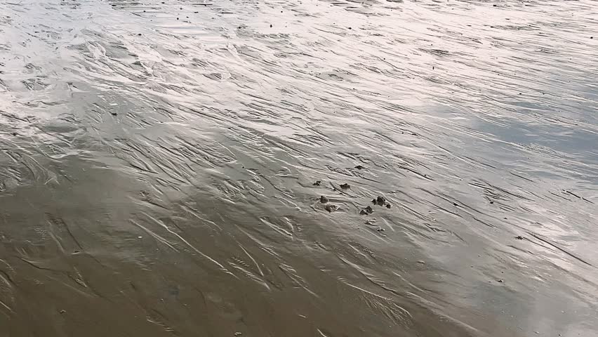 Mirror-like surface of the Plage de l’Eventail sandy beach with numerous flow streams at low tide in the English Channel, Saint Malo, France.