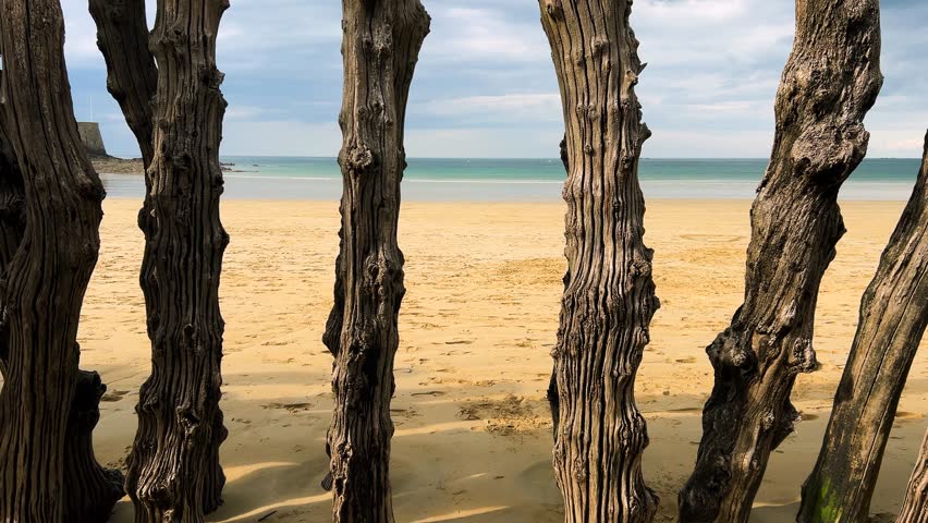 Walking through the wooden piles of the breakwaters onto the Plage de l’Eventail sandy beach of the English Channel in Saint Malo, Brittany, France. Yellow sand, dramatic sky and sun on the seashore.