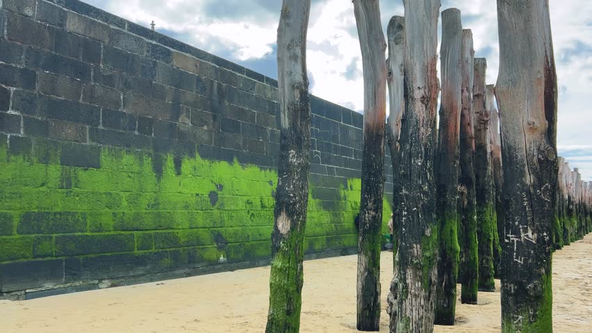Fortification stone wall, wooden breakwaters covered with moss on a sandy beach Grande Plage du Sillon at low tide in Saint-Malo, Brittany, France.