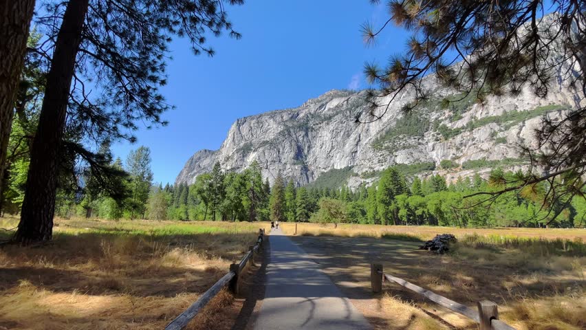 4K forward moving shot of a peaceful forest trail with green grass and trees, rocky Yosemite mountains in the background under clear blue sky