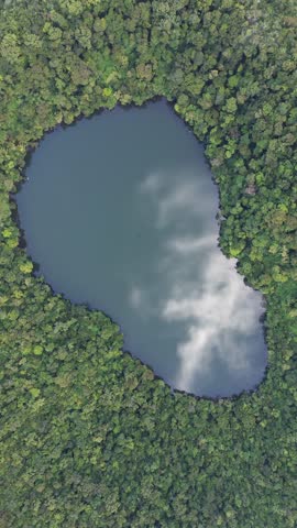 Lake Telapak Kaki Mountain Daun Bengkulu