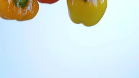 Colorful bell peppers splashing into clear water in slow motion. Fresh red, yellow, and orange capsicums drop into water against a white background, creating vibrant bubbles and waves, 4k 60fps  - Powered by Shutterstock - Get 15% off with code: PIKWIZARD15