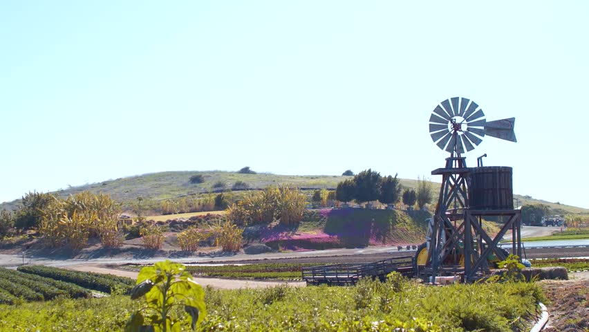 Aerial footage of wind turbines spinning gracefully in a lush green landscape, generating clean and renewable energy.