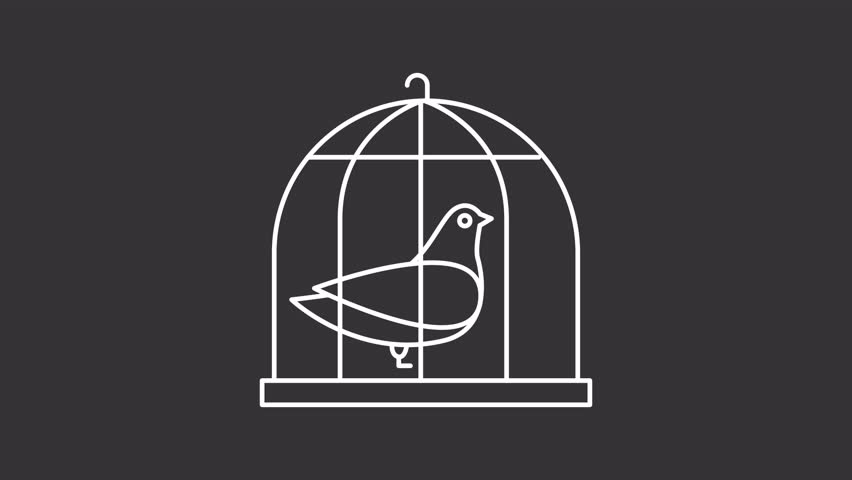 Animated pigeon in cage white line icon. Harbinger of peace captivated animation. Bird symbol of purity in christian religion. Isolated element on dark background. Alpha transparent video