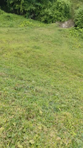 The evening twilight presents a stunning view with the sky slowly changing color from blue to shades of orange, red, and purple. The sun setting on the horizon creates a calm and romantic atmosphere, 